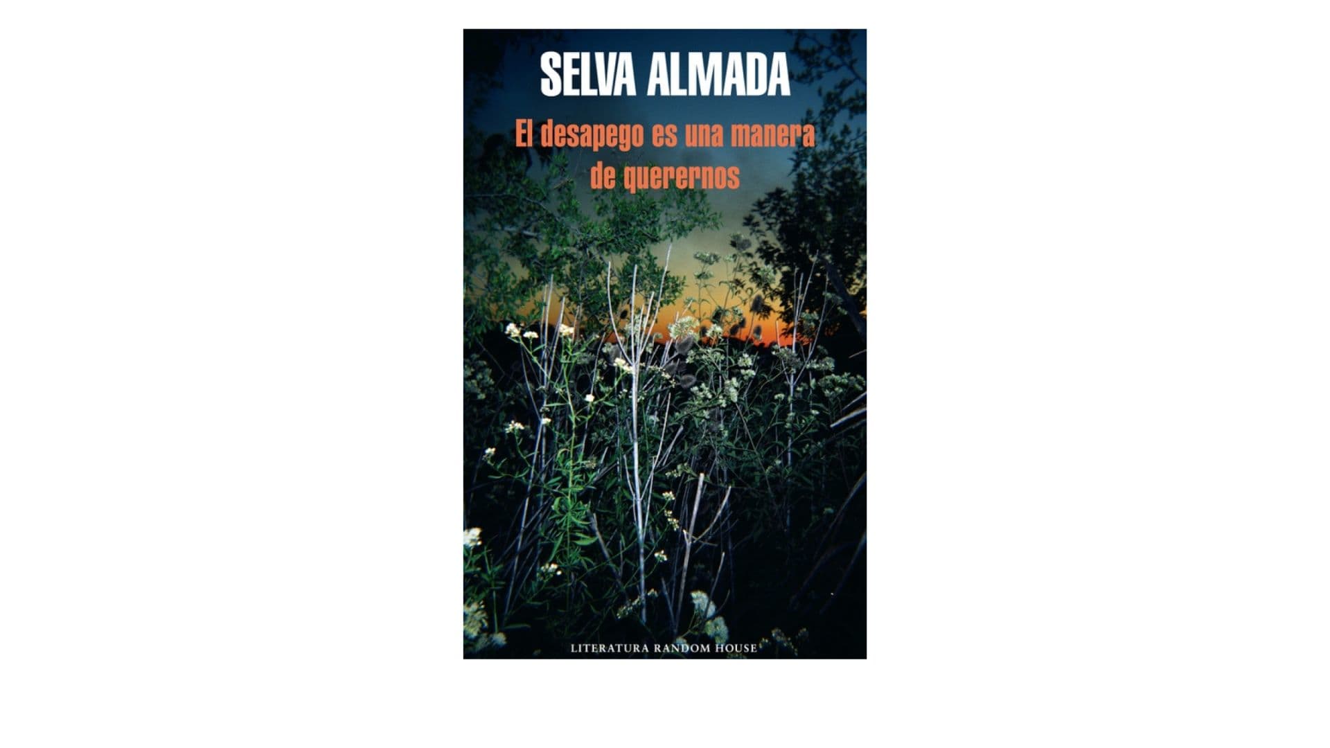 Portada de El desapego es una manera de querernos - Selva Almada