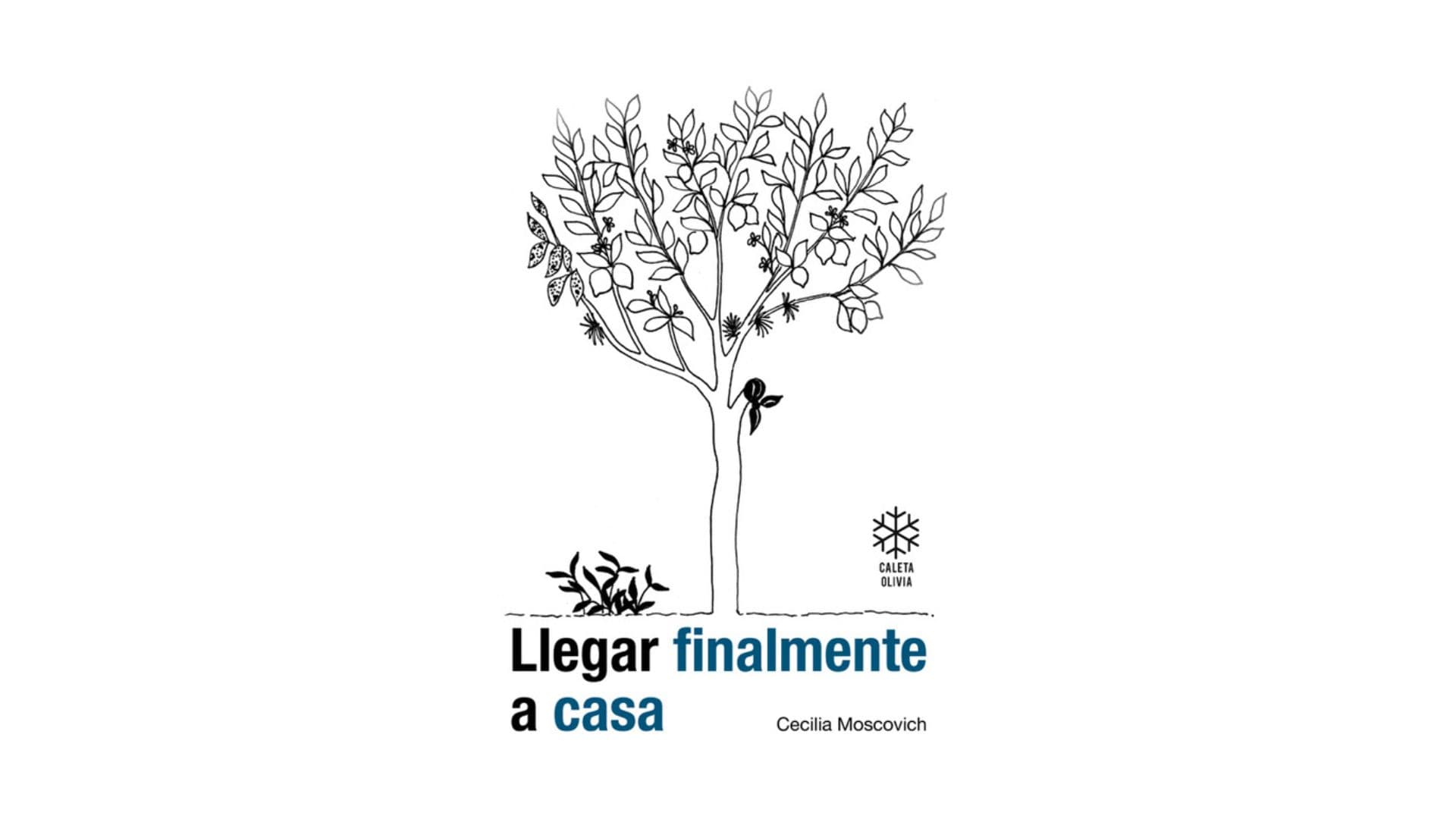 Portada de Llegar finalmente a casa - Cecilia Moscovich